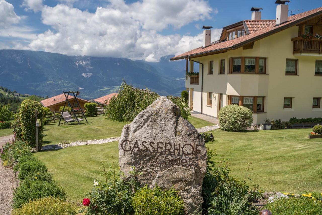 Вилла Gasserhof - Chalet A Frassinetto  Экстерьер фото